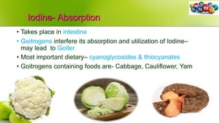 Iodine- Absorption
• Takes place in intestine
• Goitrogens interfere its absorption and utilization of Iodine–
may lead to Goiter
• Most important dietary– cyanoglycosides & thiocyanates
• Goitrogens containing foods are- Cabbage, Cauliflower, Yam
 