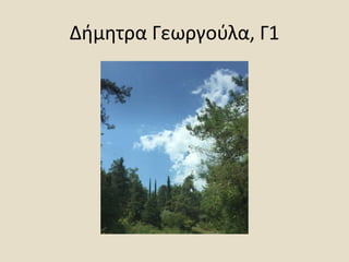 Δήμητρα Γεωργούλα, Γ1
 