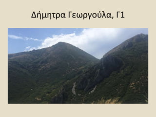 Δήμητρα Γεωργούλα, Γ1
 