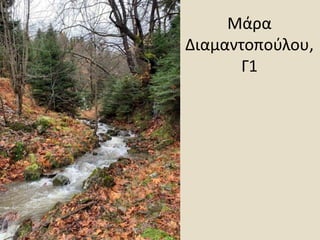 Μάρα
Διαμαντοπούλου,
Γ1
 