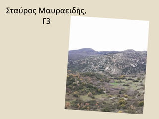 Σταύρος Μαυραειδής,
Γ3
 