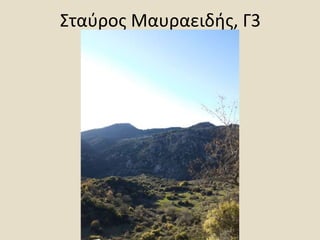 Σταύρος Μαυραειδής, Γ3
 