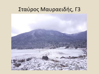 Σταύρος Μαυραειδής, Γ3
 