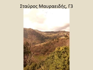 Σταύρος Μαυραειδής, Γ3
 