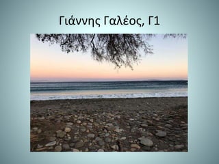 Γιάννης Γαλέος, Γ1
 