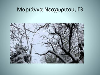 Μαριάννα Νεοχωρίτου, Γ3
 