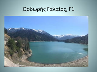 Θοδωρής Γαλαίος, Γ1
 