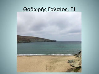 Θοδωρής Γαλαίος, Γ1
 