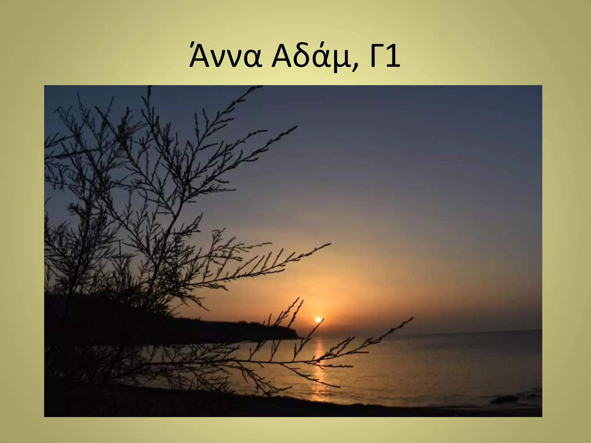 Άννα Αδάμ, Γ1
 