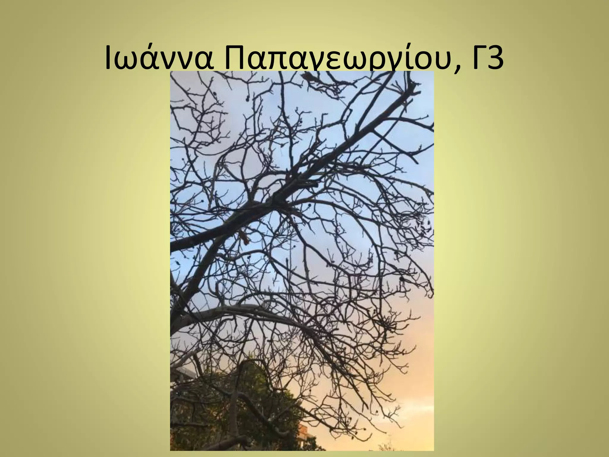 Ιωάννα Παπαγεωργίου, Γ3
 