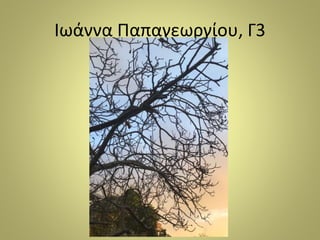 Ιωάννα Παπαγεωργίου, Γ3
 