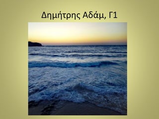 Δημήτρης Αδάμ, Γ1
 