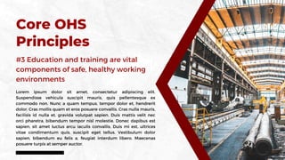 Construction Occupational Health and Safety | PDF