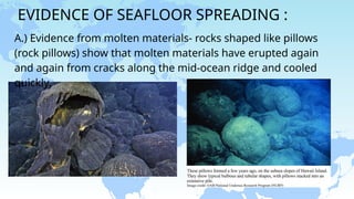 EVIDENCE OF SEAFLOOR SPREADING :
A.) Evidence from molten materials- rocks shaped like pillows
(rock pillows) show that molten materials have erupted again
and again from cracks along the mid-ocean ridge and cooled
quickly.
 