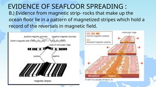 EVIDENCE OF SEAFLOOR SPREADING :
B.) Evidence from magnetic strip- rocks that make up the
ocean floor lie in a pattern of magnetized stripes which hold a
record of the reversals in magnetic field.
 