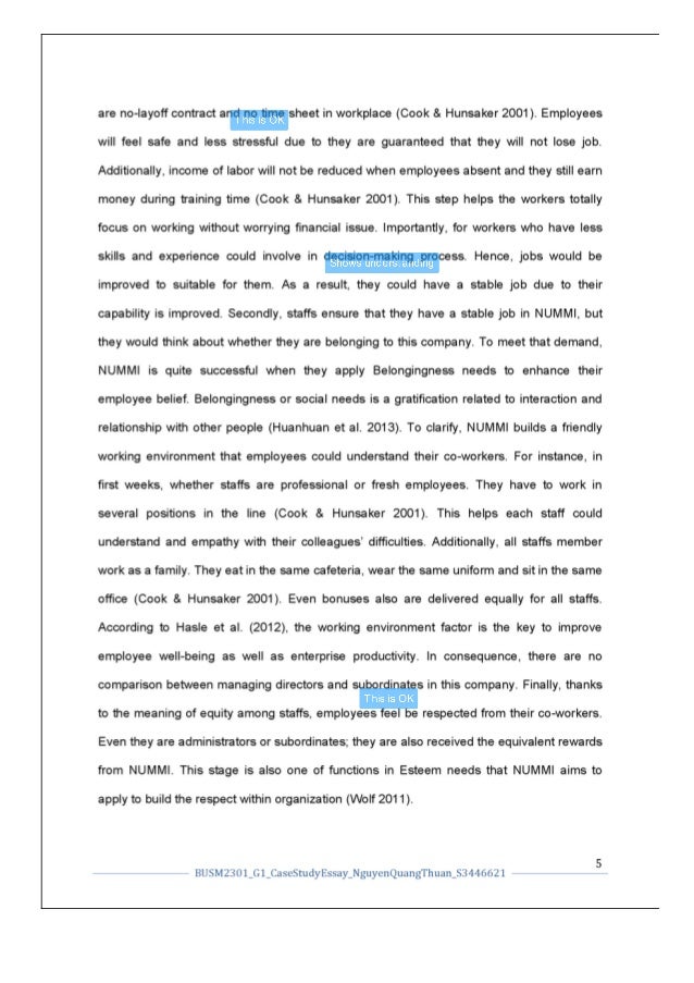 Business consultant essay picture