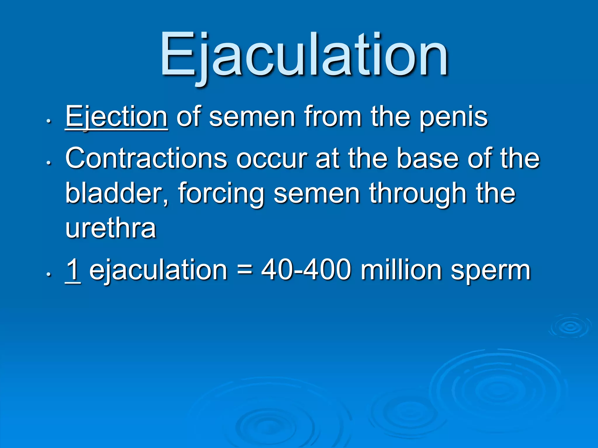 Male Reproductive System Ppt PPTX Male Reproductive System Ppt PPTX