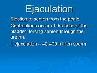 Ejaculation
• Ejection of semen from the penis
• Contractions occur at the base of the
bladder, forcing semen through the
urethra
• 1 ejaculation = 40-400 million sperm
 