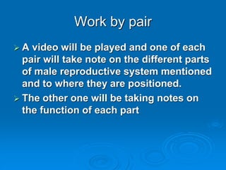 Work by pair
 A video will be played and one of each
pair will take note on the different parts
of male reproductive system mentioned
and to where they are positioned.
 The other one will be taking notes on
the function of each part
 
