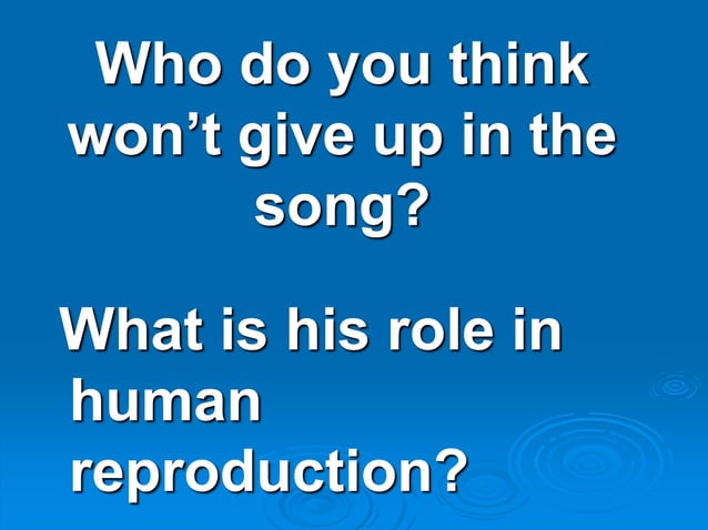Male Reproductive System Ppt PPT