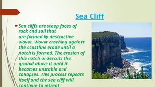 Comprehensive Study of Coastal Landforms: Erosion, Deposition, and ...