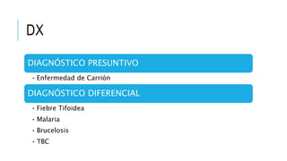 DX
DIAGNÓSTICO PRESUNTIVO
• Enfermedad de Carrión
DIAGNÓSTICO DIFERENCIAL
• Fiebre Tifoidea
• Malaria
• Brucelosis
• TBC
 