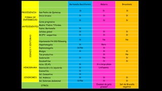 Bartonella Baciliformis Malaria Brucelosis
PROCEDENCIA San Pedro de Quinocay
Si Si Si
FORMA DE
ENFERMEDAD
Inicio brusco Si Si Si
Curso progresivo
Si Si Si
ANTECEDENTES
Madre: Fiebre Tifoidea
Padre: Bartonella Si
SIGNOSYSINTOMAS
Cefalea global Si Si Si
40,5ºC vespertino Si Si Si
Hipotensión PA:100/50mmHg
Si No No
Hepatomegalia Si Raro
Esplenomegalia Si/No Si
Mialgia Si Si Si
Tos productiva Si No
Sudoración Si No Si
Escalosfríos Si Si
HEMOGRAMA
Hcto: 25,4% Si Si a largo plazo
Desviación a la izquierda Si Linfopenia
Eosinofilia Si
SINDROMES
Sd. Consuntivo Si
Sd. Anémico Si Si Si
Sd. Doloroso abdominal Si/No Si Si
OTROS
Examen de gota
gruesa?
Set de Brucella
negativo
 