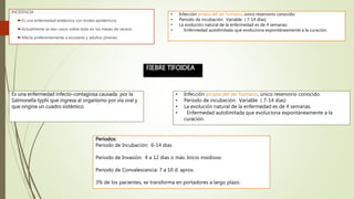FIEBRE TIFOIDEA
Es una enfermedad infecto-contagiosa causada por la
Salmonella typhi que ingresa al organismo por vía oral y
que origina un cuadro sistémico.
INCIDENCIA
Es una enfermedad endémica con brotes epidémicos.
Actualmente se dan casos sobre todo en los meses de verano.
Afecta preferentemente a escolares y adultos jòvenes.
• Infección propia del ser humano, único reservorio conocido.
• Periodo de incubación: Variable ( 7-14 días)
• La evolución natural de la enfermedad es de 4 semanas.
• Enfermedad autolimitada que evoluciona expontáneamente a la curación.
• Infección propia del ser humano, único reservorio conocido.
• Periodo de incubación: Variable ( 7-14 días)
• La evolución natural de la enfermedad es de 4 semanas.
• Enfermedad autolimitada que evoluciona expontáneamente a la
curación.
Periodos:
Periodo de Incubación: 6-14 dias
Periodo de Invasión: 4 a 12 días o más. Inicio insidioso.
Periodo de Convalescencia: 7 a 10 d. aprox.
3% de los pacientes, se transforma en portadores a largo plazo.
 