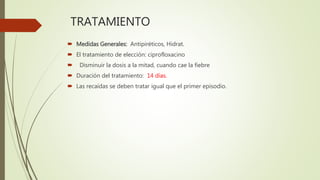 TRATAMIENTO
 Medidas Generales: Antipiréticos, Hidrat.
 El tratamiento de elección: ciprofloxacino
 Disminuir la dosis a la mitad, cuando cae la fiebre
 Duración del tratamiento: 14 días.
 Las recaídas se deben tratar igual que el primer episodio.
 