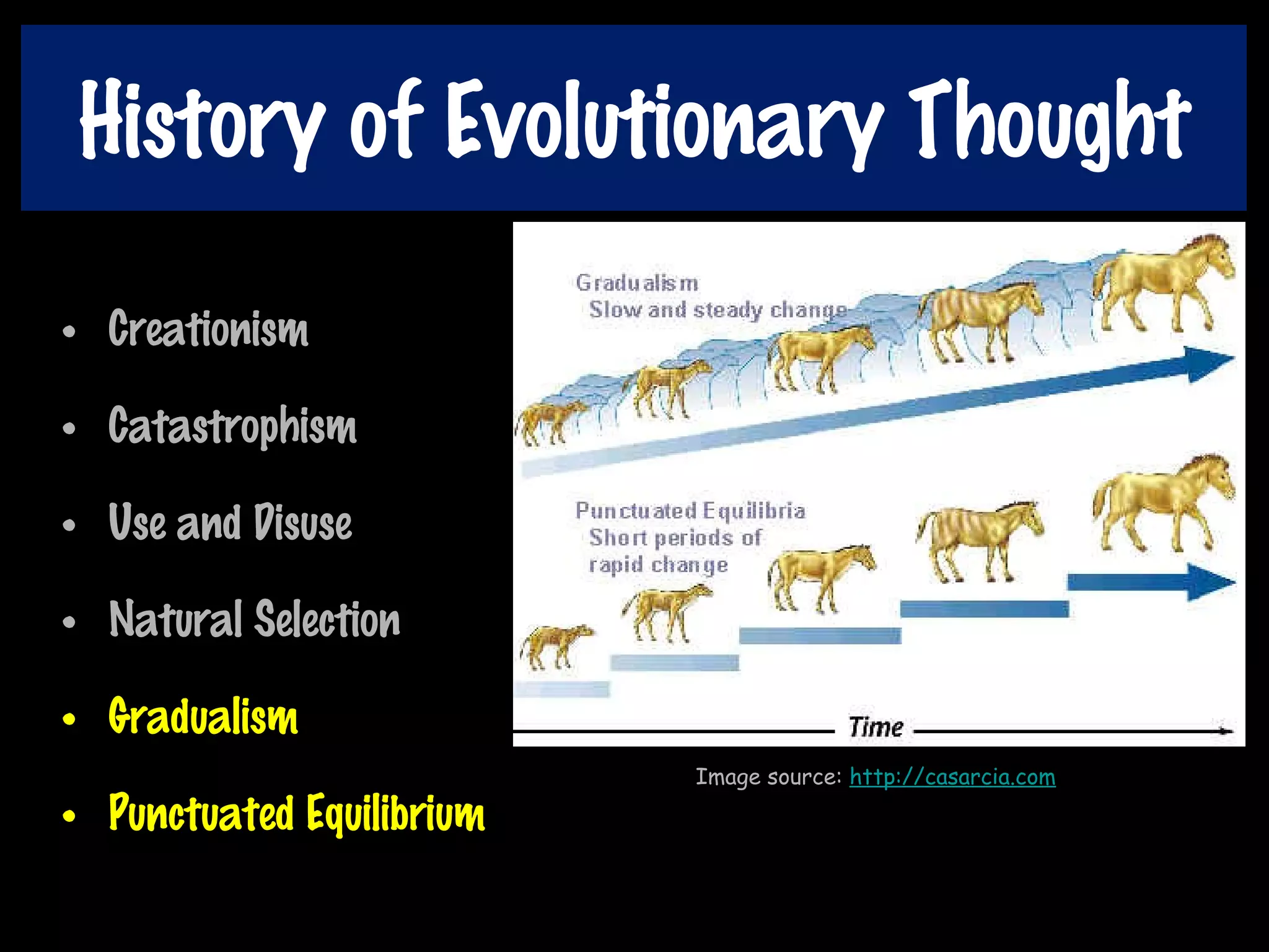 History of Evolutionary Thought
• Creationism
• Catastrophism
• Use and Disuse
• Natural Selection
• Gradualism
• Punctuated Equilibrium
Image source: http://casarcia.com
 