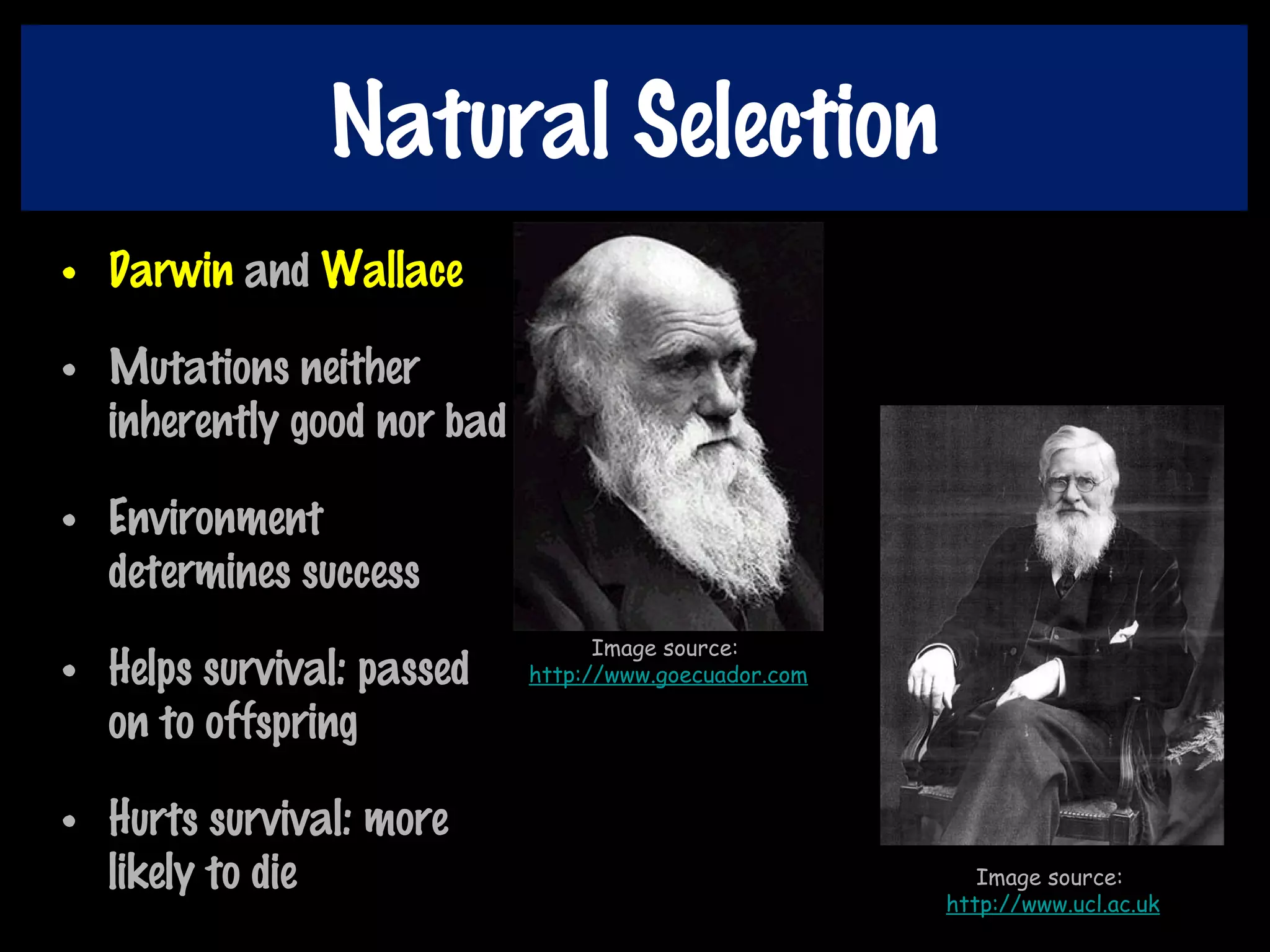Natural Selection
• Darwin and Wallace
• Mutations neither
inherently good nor bad
• Environment
determines success
• Helps survival: passed
on to offspring
• Hurts survival: more
likely to die
Image source:
http://www.goecuador.com
Image source:
http://www.ucl.ac.uk
 