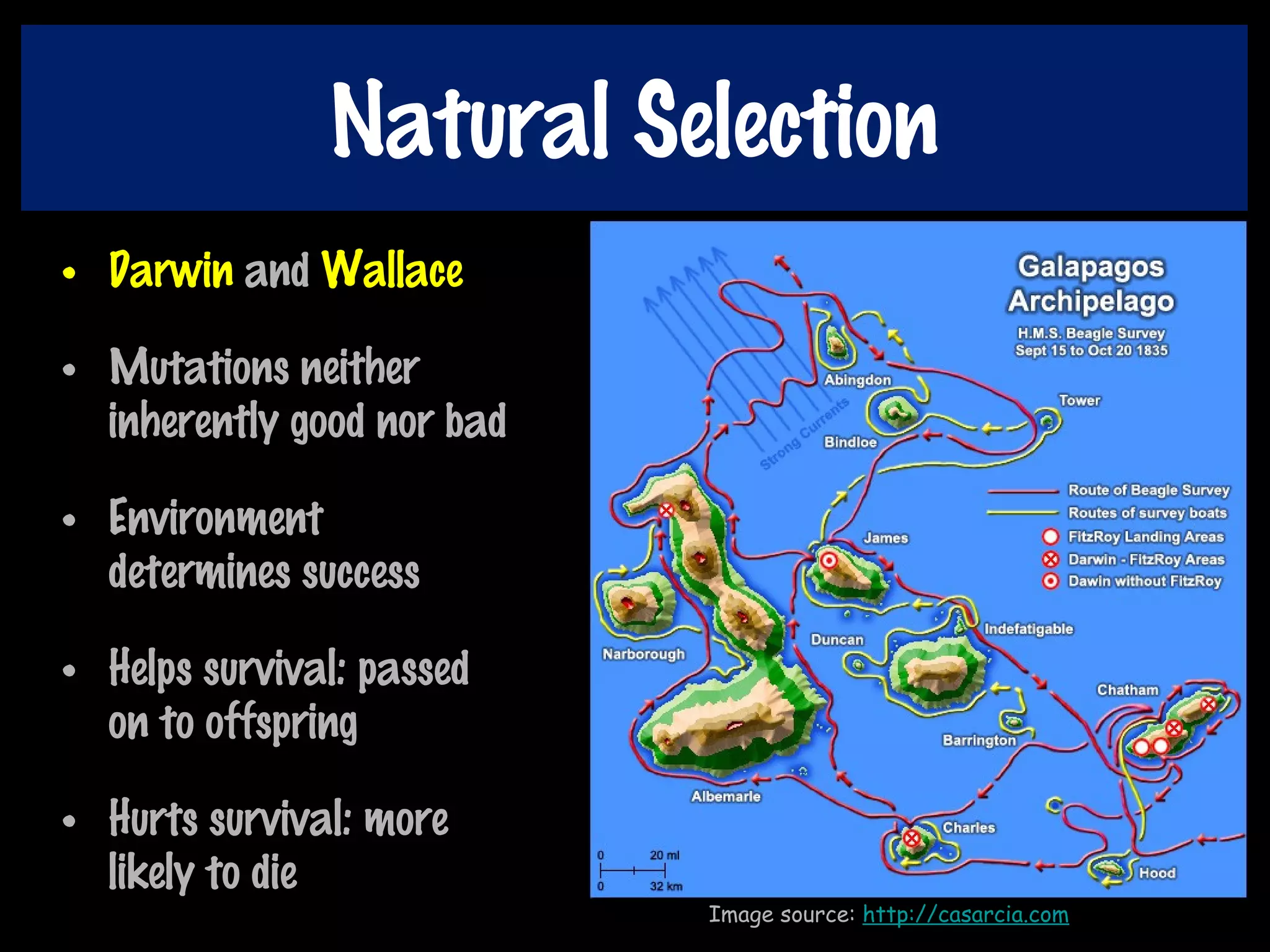 Natural Selection
• Darwin and Wallace
• Mutations neither
inherently good nor bad
• Environment
determines success
• Helps survival: passed
on to offspring
• Hurts survival: more
likely to die
Image source: http://casarcia.com
 