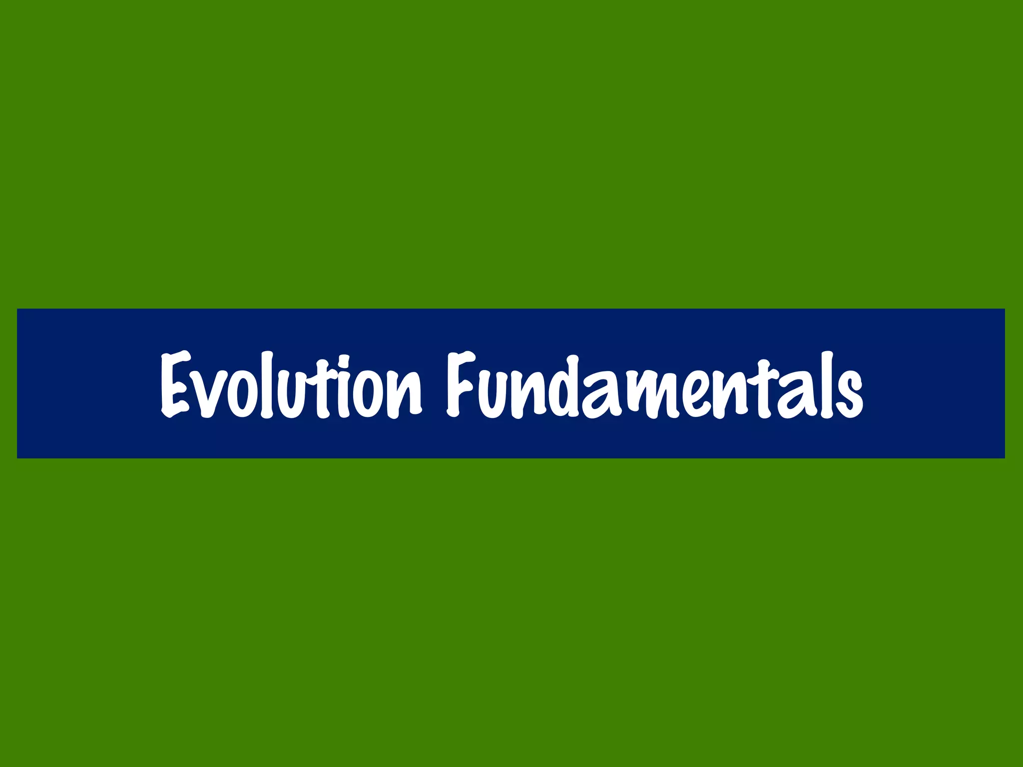 Evolution Fundamentals
 
