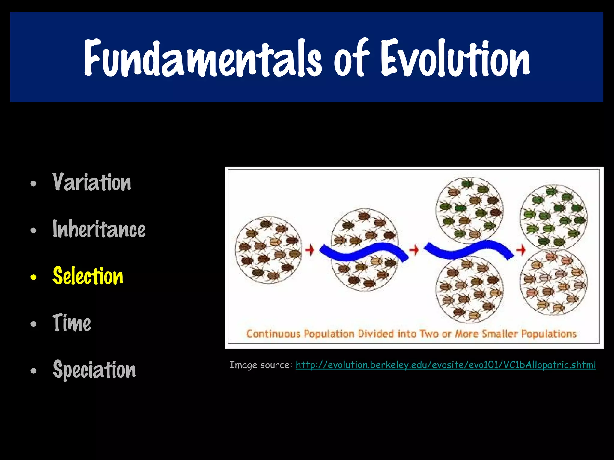 Fundamentals of Evolution
• Variation
• Inheritance
• Selection
• Time
• Speciation Image source: http://evolution.berkeley.edu/evosite/evo101/VC1bAllopatric.shtml
 