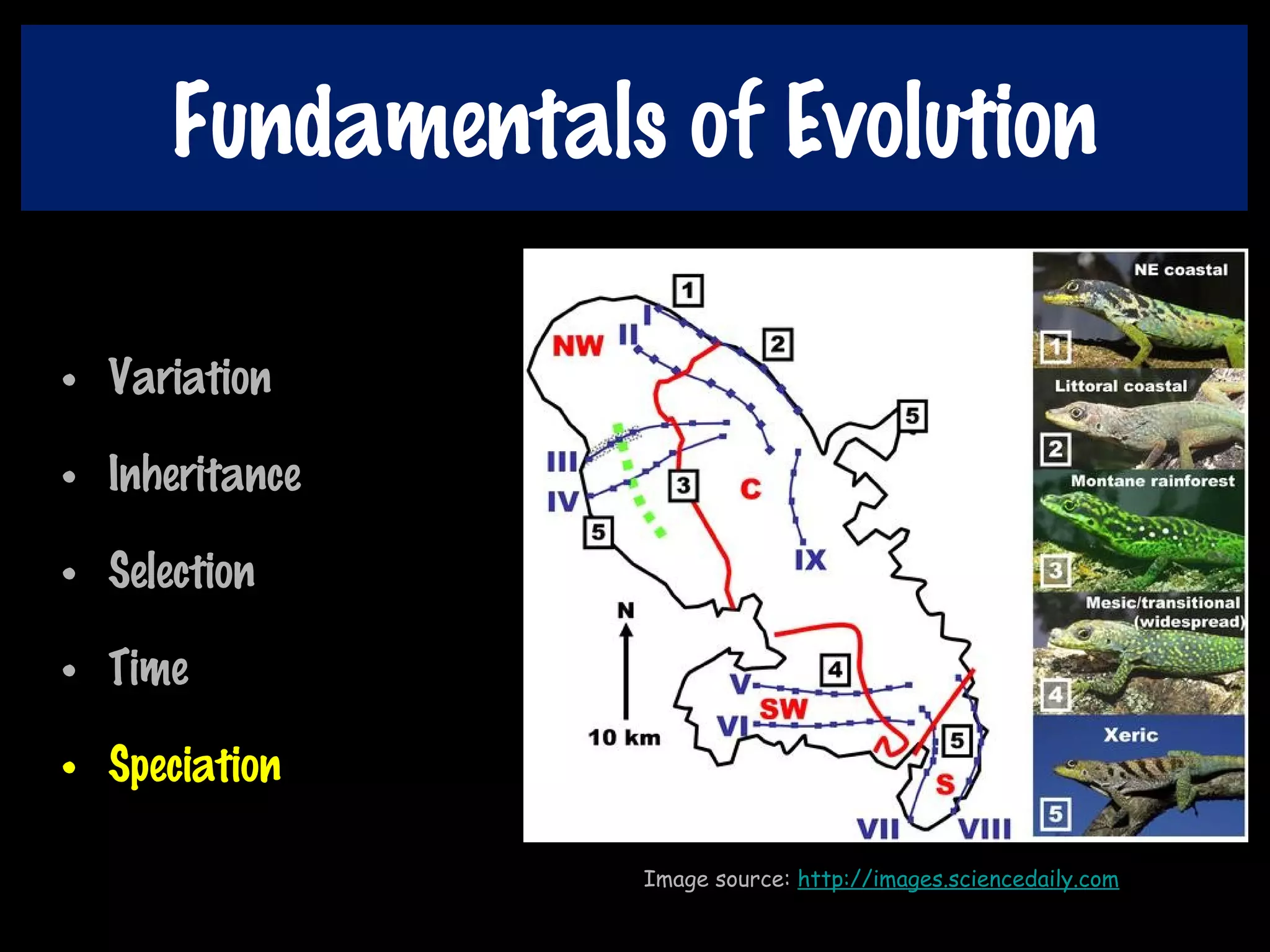 Fundamentals of Evolution
• Variation
• Inheritance
• Selection
• Time
• Speciation
Image source: http://images.sciencedaily.com
 