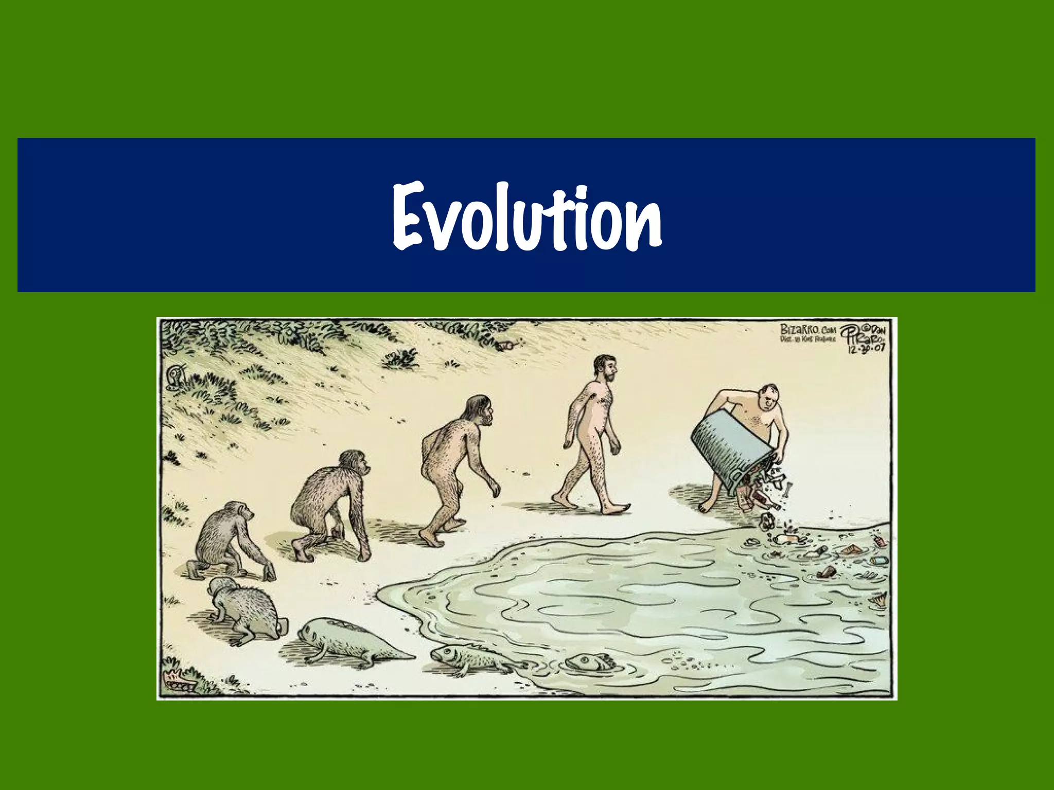 Evolution
 