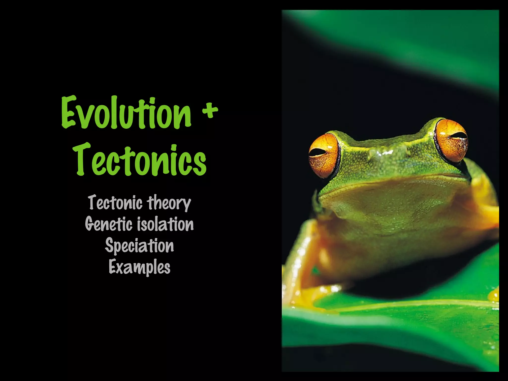 Evolution +
Tectonics
Tectonic theory
Genetic isolation
Speciation
Examples
 