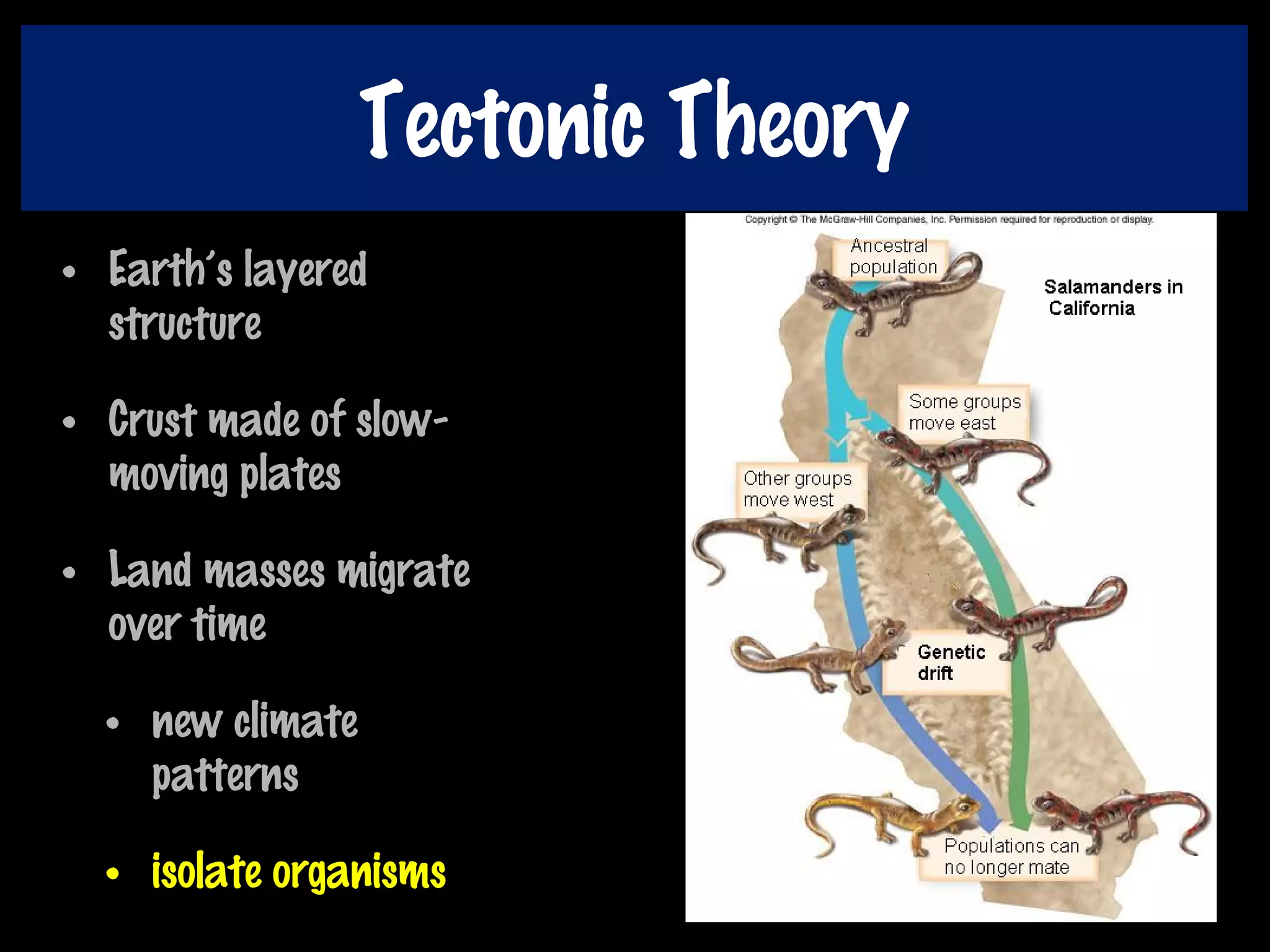 Tectonic Theory
• Earth’s layered
structure
• Crust made of slow-
moving plates
• Land masses migrate
over time
• new climate
patterns
• isolate organisms
 