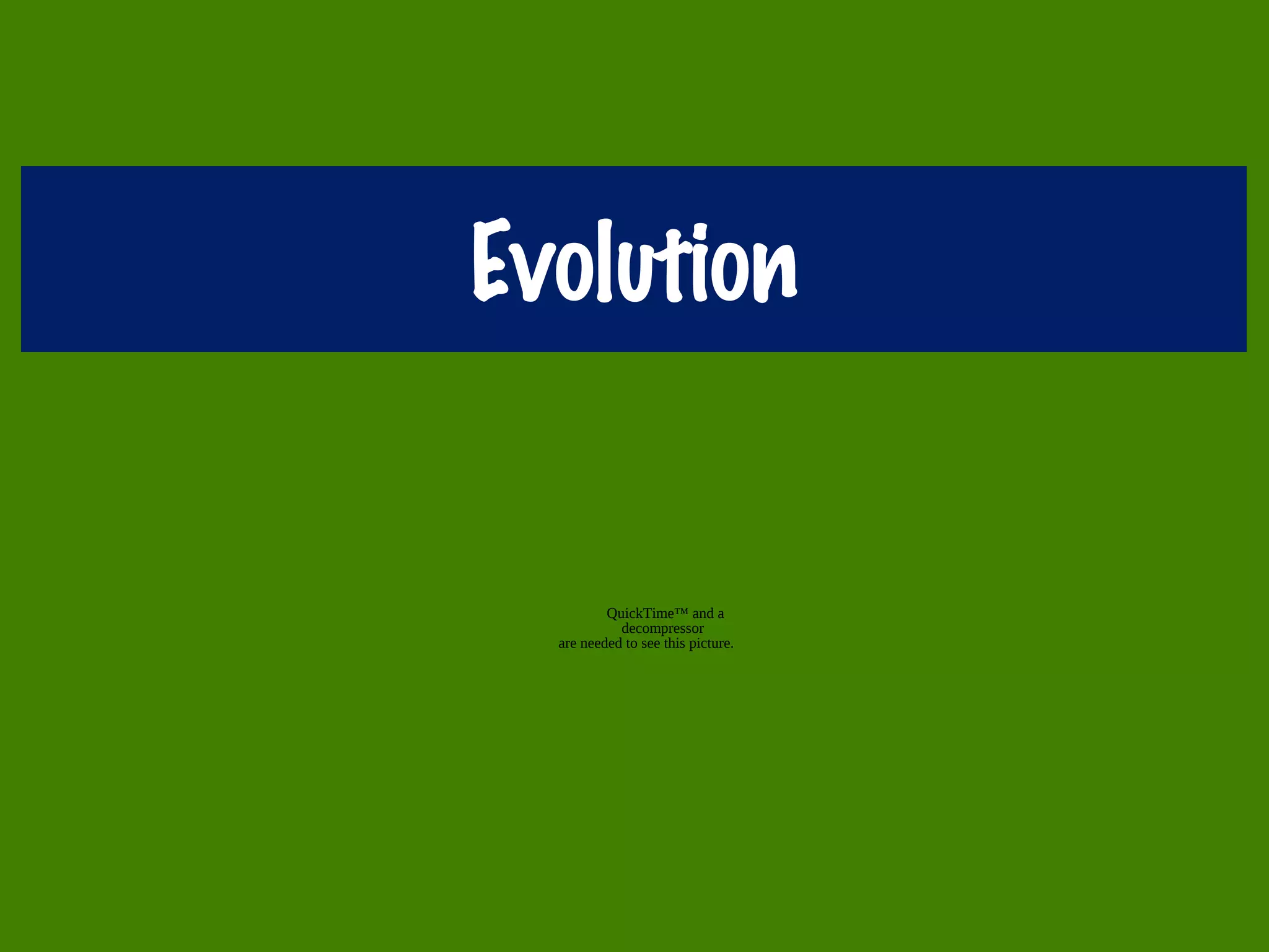 Evolution
QuickTime™ and a
decompressor
are needed to see this picture.
 