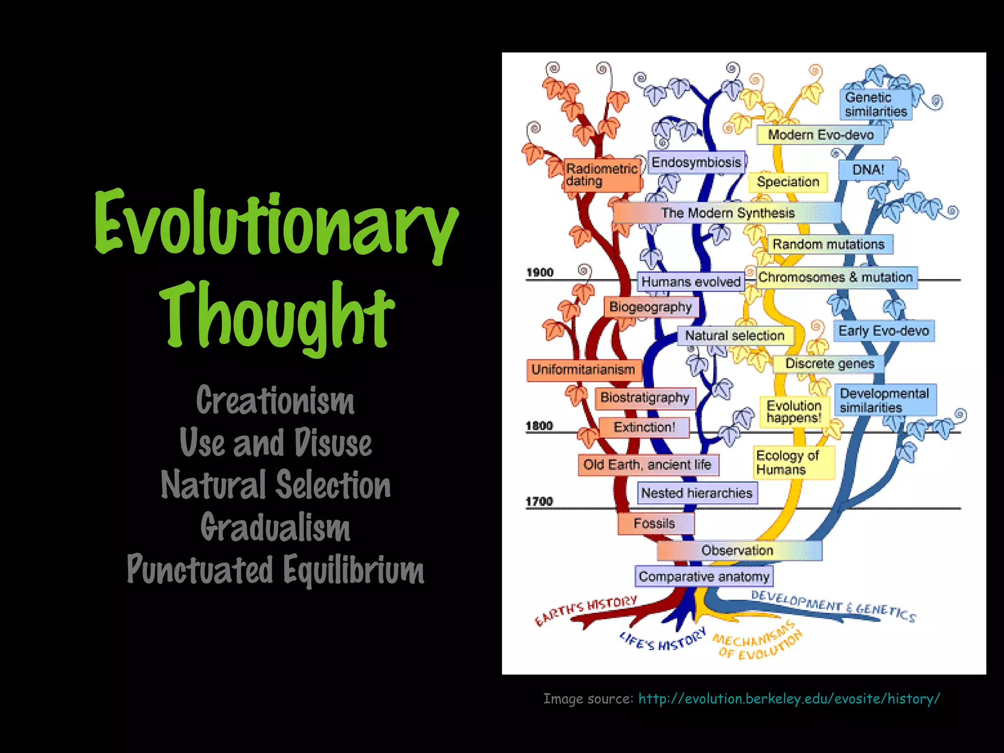 Evolutionary
Thought
Creationism
Use and Disuse
Natural Selection
Gradualism
Punctuated Equilibrium
Image source: http://evolution.berkeley.edu/evosite/history/
 