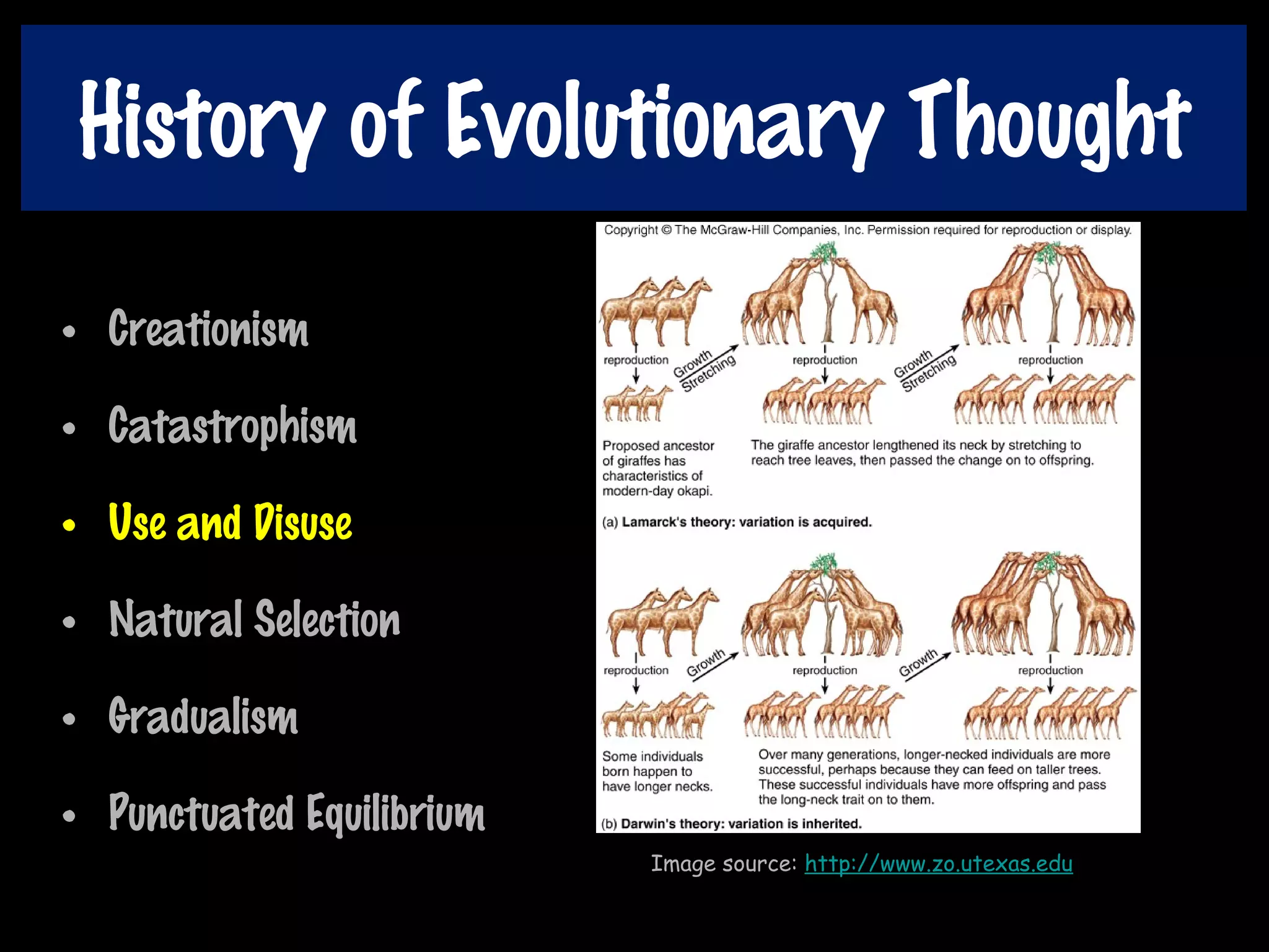 History of Evolutionary Thought
• Creationism
• Catastrophism
• Use and Disuse
• Natural Selection
• Gradualism
• Punctuated Equilibrium
Image source: http://www.zo.utexas.edu
 