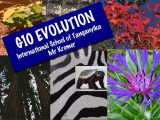 G10 EVOLUTION
International School of Tanganyika
Mr KremerG10 EVOLUTION
International School of Tanganyika
Mr Kremer
 