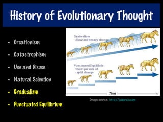 History of Evolutionary Thought
• Creationism
• Catastrophism
• Use and Disuse
• Natural Selection
• Gradualism
• Punctuated Equilibrium
Image source: http://casarcia.com
 