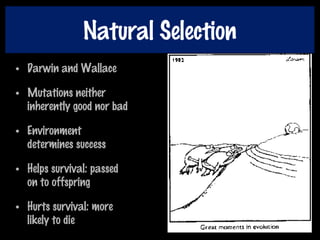 Natural Selection
• Darwin and Wallace
• Mutations neither
inherently good nor bad
• Environment
determines success
• Helps survival: passed
on to offspring
• Hurts survival: more
likely to die
 