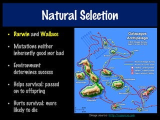 Natural Selection
• Darwin and Wallace
• Mutations neither
inherently good nor bad
• Environment
determines success
• Helps survival: passed
on to offspring
• Hurts survival: more
likely to die
Image source: http://casarcia.com
 