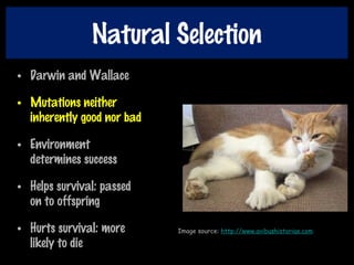 Natural Selection
• Darwin and Wallace
• Mutations neither
inherently good nor bad
• Environment
determines success
• Helps survival: passed
on to offspring
• Hurts survival: more
likely to die
Image source: http://www.avibushistoriae.com
 