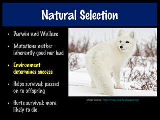 Natural Selection
• Darwin and Wallace
• Mutations neither
inherently good nor bad
• Environment
determines success
• Helps survival: passed
on to offspring
• Hurts survival: more
likely to die
Image source: http://true-wildlife.blogspot.com
 