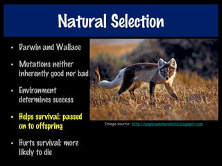 Natural Selection
• Darwin and Wallace
• Mutations neither
inherently good nor bad
• Environment
determines success
• Helps survival: passed
on to offspring
• Hurts survival: more
likely to die
Image source: http://pepsisummersdolls.blogspot.com
 