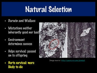 Natural Selection
• Darwin and Wallace
• Mutations neither
inherently good nor bad
• Environment
determines success
• Helps survival: passed
on to offspring
• Hurts survival: more
likely to die
Image source: http://users.rcn.com/jkimball
 