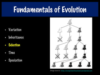 Fundamentals of Evolution
• Variation
• Inheritance
• Selection
• Time
• Speciation
Image source: http://livinglifewithoutanet.wordpress.com
 